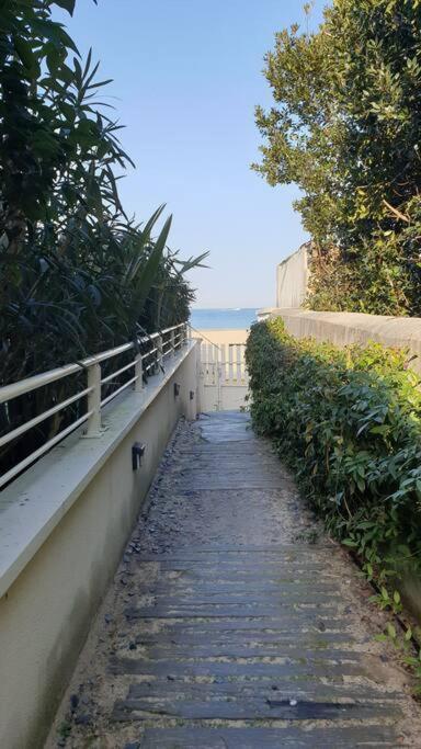 Arcareve - Grand Studio De Standing Avec Terrasse, Jardin Et Acces Direct A La Plage Аркашон Екстер'єр фото